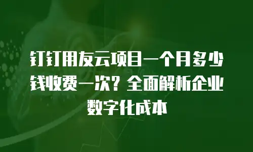 钉钉用友云项目一个月多少钱收费一次？全面解析企业数字化成本