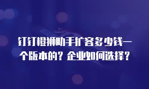 钉钉橙狮助手扩容多少钱一个版本的？企业如何选择？