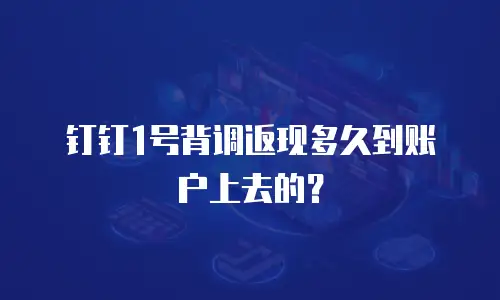 钉钉1号背调返现多久到账户上去的？