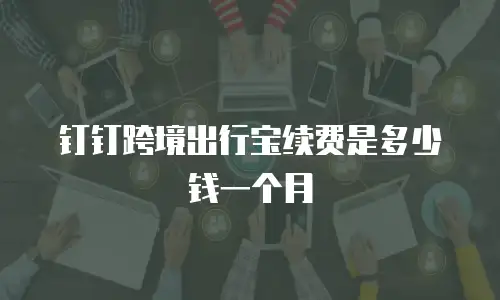 钉钉跨境出行宝续费是多少钱一个月