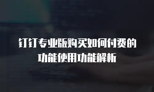 钉钉专业版购买如何付费的功能使用功能解析