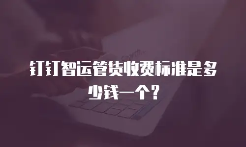 钉钉智运管货收费标准是多少钱一个？