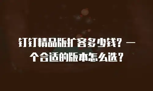 钉钉精品版扩容多少钱？一个合适的版本怎么选？