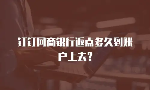 钉钉网商银行返点多久到账户上去？