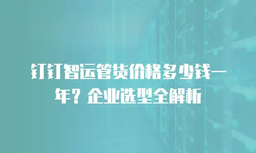 钉钉智运管货价格多少钱一年？企业选型全解析