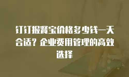 钉钉报餐宝价格多少钱一天合适？企业费用管理的高效选择