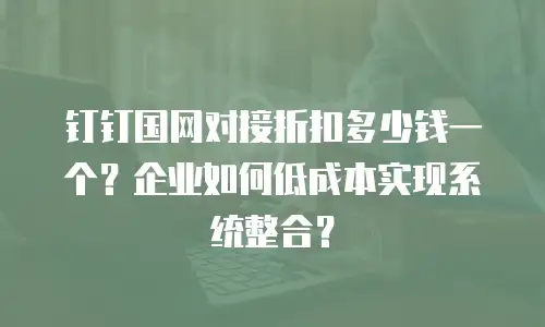 钉钉国网对接折扣多少钱一个？企业如何低成本实现系统整合？