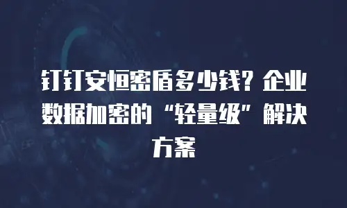 钉钉安恒密盾多少钱？企业数据加密的“轻量级”解决方案