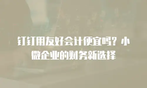 钉钉用友好会计便宜吗？小微企业的财务新选择