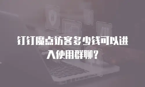 钉钉魔点访客多少钱可以进入使用群聊？