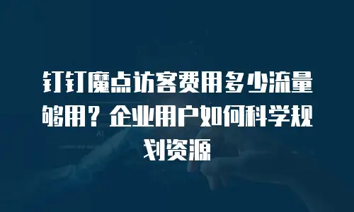 钉钉魔点访客费用多少流量够用？企业用户如何科学规划资源