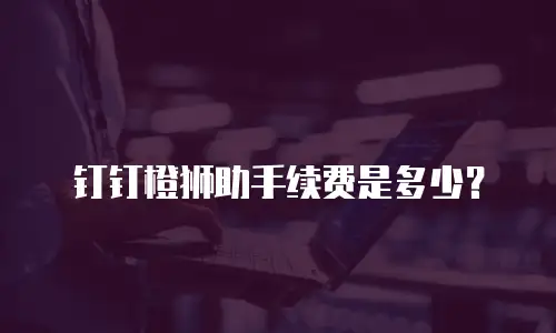 钉钉橙狮助手续费是多少？