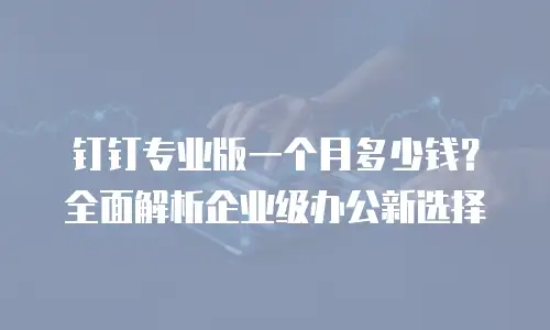 钉钉专业版一个月多少钱？全面解析企业级办公新选择