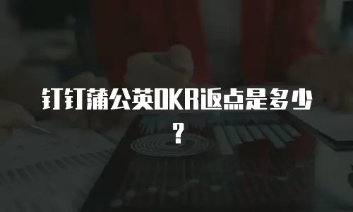 钉钉蒲公英OKR返点是多少？