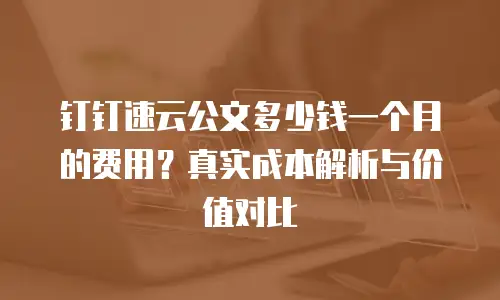 钉钉速云公文多少钱一个月的费用？真实成本解析与价值对比