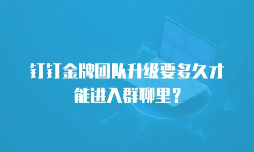 钉钉金牌团队升级要多久才能进入群聊里？