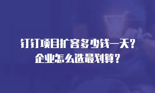 钉钉项目扩容多少钱一天？企业怎么选最划算？