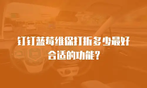 钉钉蓝莓维保打折多少最好合适的功能？