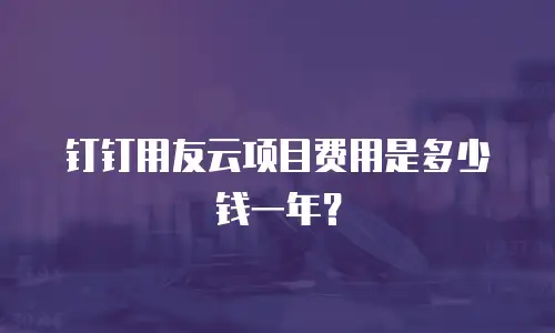 钉钉用友云项目费用是多少钱一年？