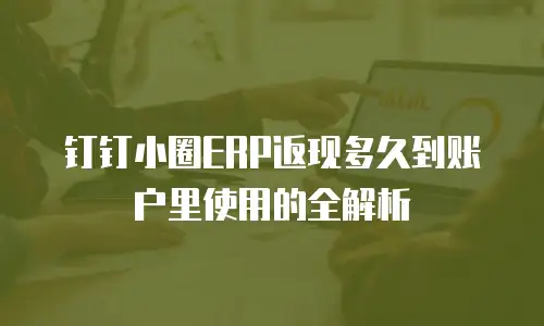 钉钉小圈ERP返现多久到账户里使用的全解析