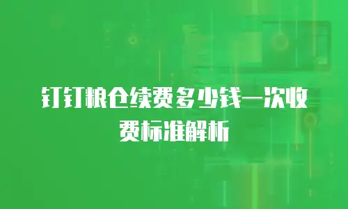 钉钉粮仓续费多少钱一次收费标准解析