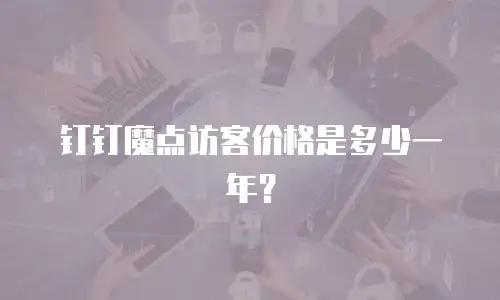 钉钉魔点访客价格是多少一年？