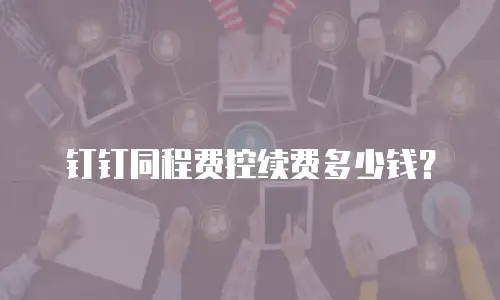 钉钉同程费控续费多少钱？