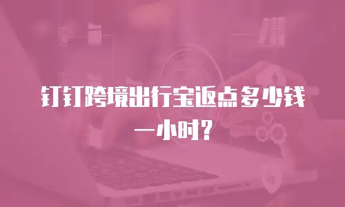 钉钉跨境出行宝返点多少钱一小时？