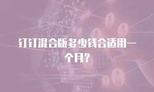 钉钉混合版多少钱合适用一个月？