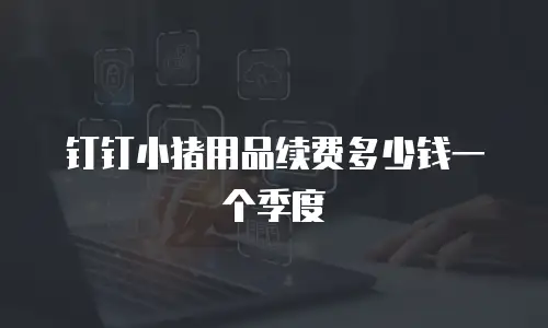 钉钉小猪用品续费多少钱一个季度