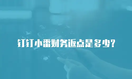 钉钉小番财务返点是多少？