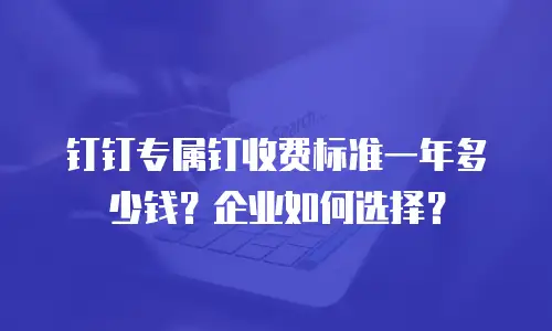 钉钉专属钉收费标准一年多少钱？企业如何选择？