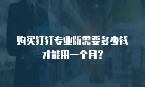 购买钉钉专业版需要多少钱才能用一个月？