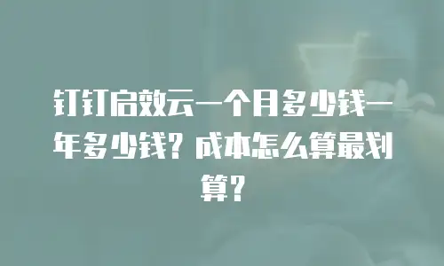 钉钉启效云一个月多少钱一年多少钱？成本怎么算最划算？
