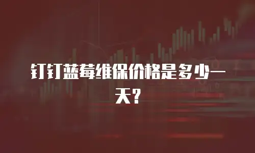 钉钉蓝莓维保价格是多少一天？