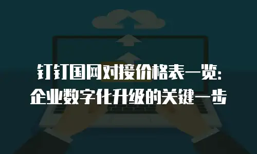 钉钉国网对接价格表一览：企业数字化升级的关键一步