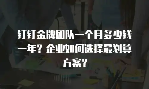 钉钉金牌团队一个月多少钱一年？企业如何选择最划算方案？