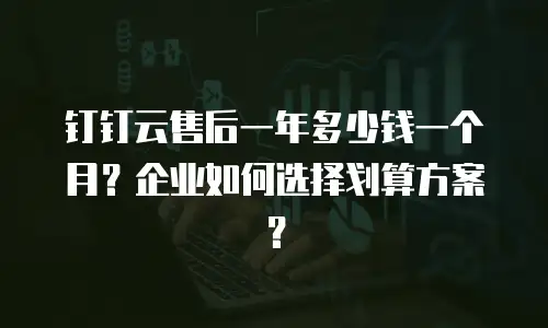 钉钉云售后一年多少钱一个月？企业如何选择划算方案？