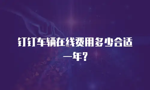 钉钉车辆在线费用多少合适一年？