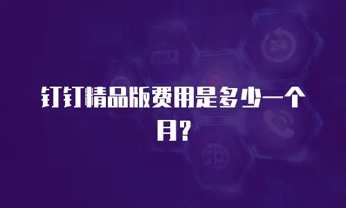 钉钉精品版费用是多少一个月？