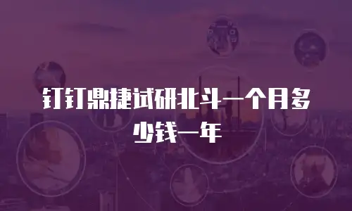 钉钉鼎捷试研北斗一个月多少钱一年