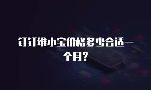 钉钉维小宝价格多少合适一个月？