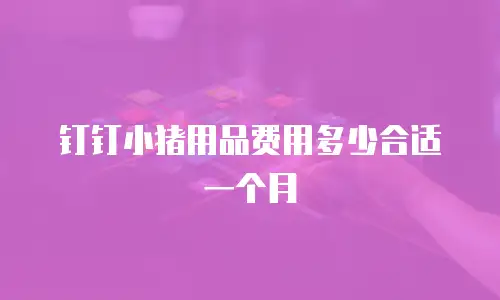 钉钉小猪用品费用多少合适一个月