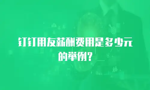 钉钉用友薪酬费用是多少元的举例？