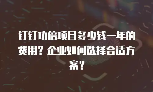 钉钉功倍项目多少钱一年的费用？企业如何选择合适方案？