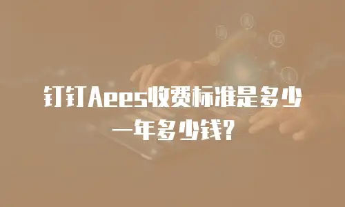 钉钉Aees收费标准是多少一年多少钱？
