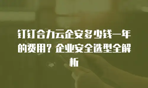 钉钉合力云企安多少钱一年的费用？企业安全选型全解析