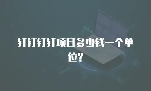 钉钉钉钉项目多少钱一个单位？