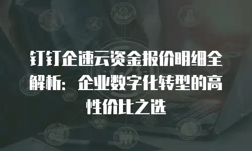 钉钉企速云资金报价明细全解析：企业数字化转型的高性价比之选