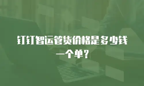 钉钉智运管货价格是多少钱一个单？